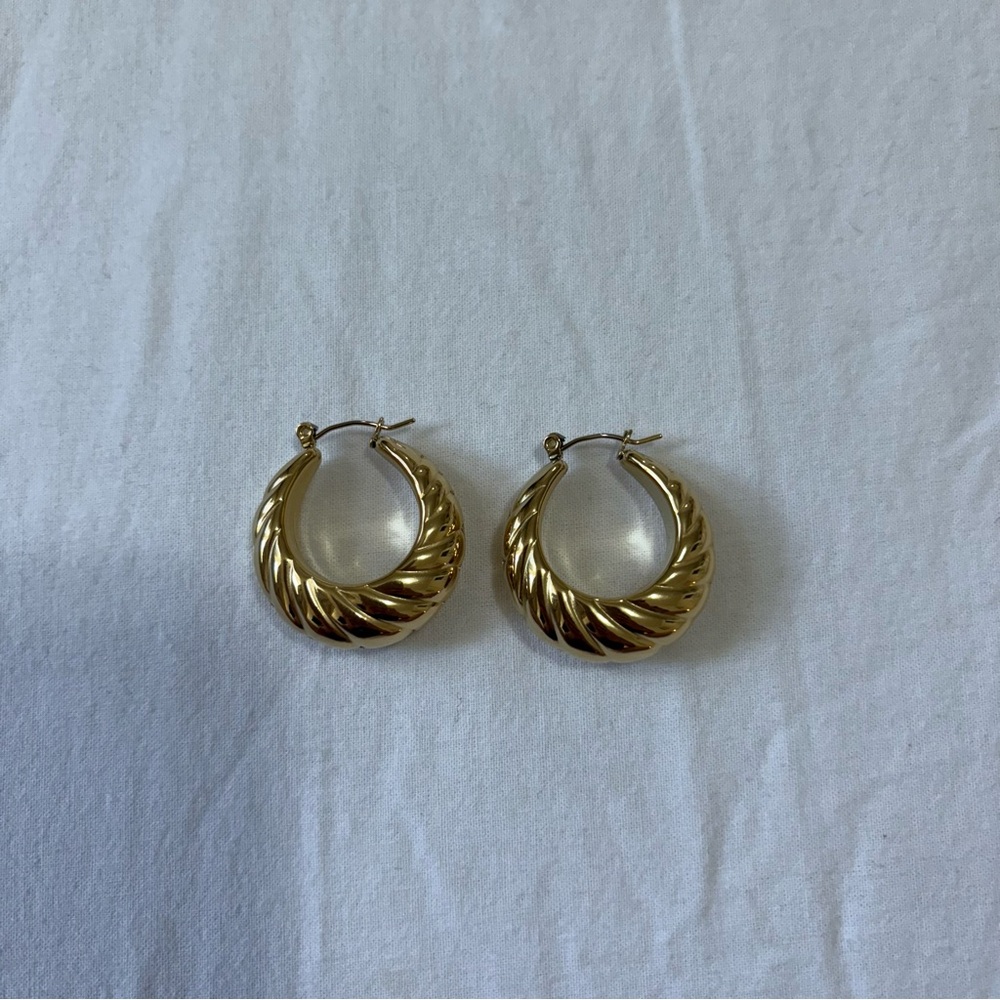 Elegant Gold Hoop Earrings